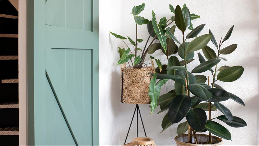 Peintures pour le bâtiment de Libert Paints