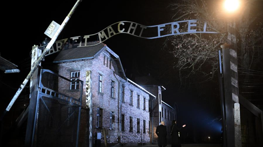 Nieuwe databank werpt licht op slachtoffers van medische experimenten door nazi's