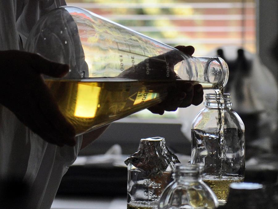 Pas de confirmation d'infections à la bactérie Stec dans un home en Wallonie