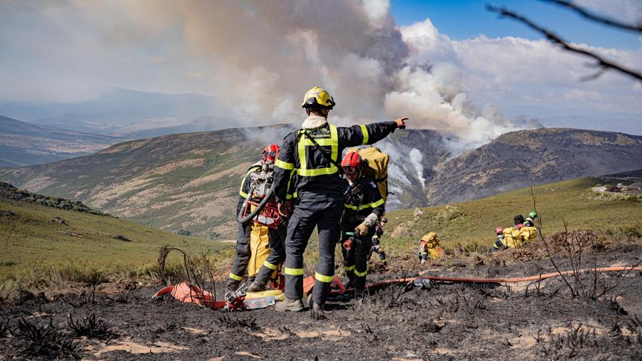 Assistance voyage: hausse des dossiers médicaux à cause de la chaleur