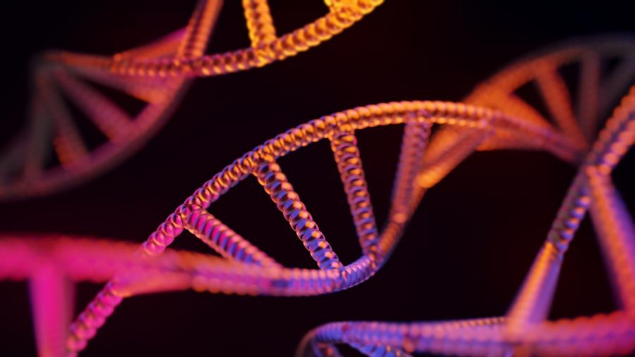 Des provirus défectifs pas si inoffensifs que ça !