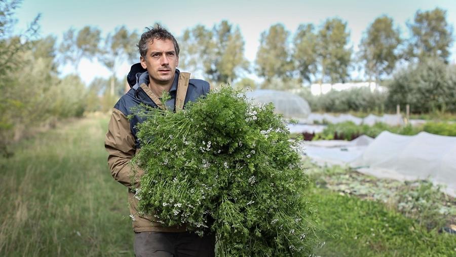 Agriculteur biologique récompensé pour sa collaboration unique avec l'hôpital AZ Zeno