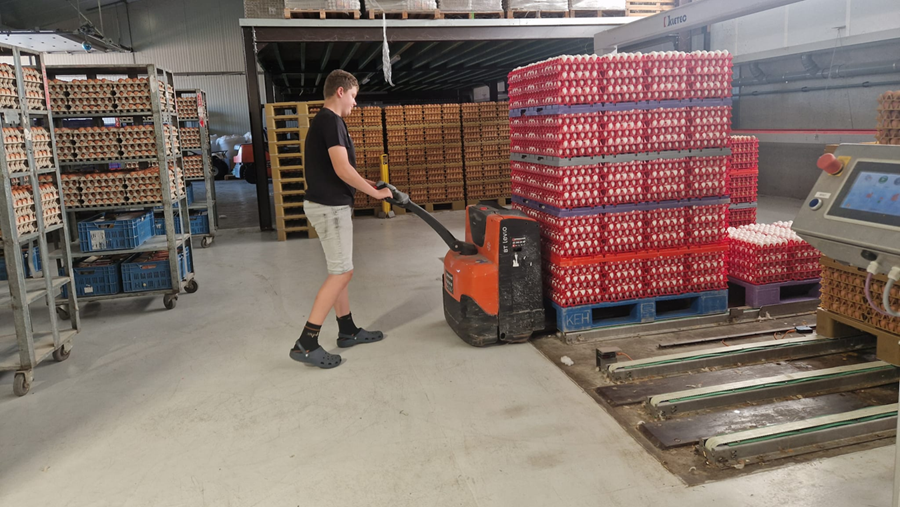 L'œuf belge a-t-il encore de l'avenir?