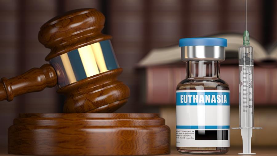 Toujours pas d'honoraire pour l'euthanasie